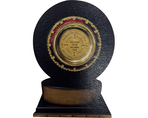 Rajoo SIES Star Award-2019