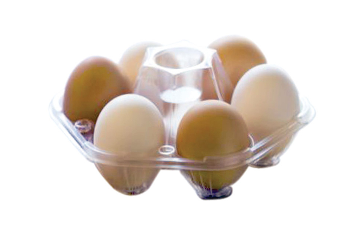 thermoforming machines Disposable Egg Trays