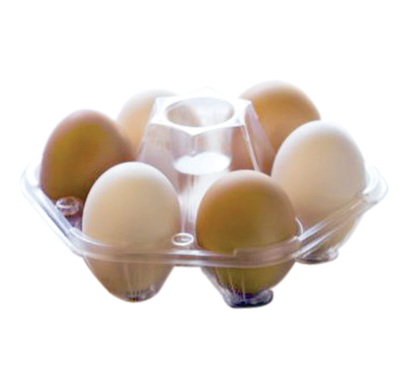 thermoforming machines Disposable Egg Trays