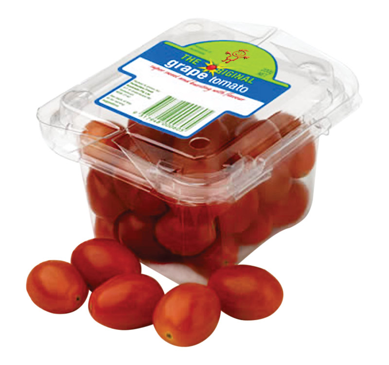thermoforming machines packaging